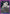Suguru Geto (025) (UEPR/JJK-3-025) - UEX02BT Jujutsu Kaisen Vol2 Release Event Cards