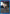 Yu Haibara (022) (UEPR/JJK-3-022) - UEX02BT Jujutsu Kaisen Vol2 Release Event Cards