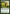 Farseek [Secret Lair: From Cute to Brute] - Magic: The Gathering - Card Brawlers | Quebec | Canada |