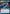 Graceful Purrgil (333) (Hyperspace) (333) [Legends of the Force] - Fantasy Flight Games - Card Brawlers | Quebec | Canada |