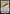 Constructed Lightsaber (763) (Foil) (763) [Legends of the Force] - Fantasy Flight Games - Card Brawlers | Quebec | Canada |