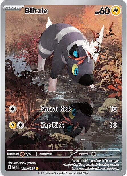 Blitzle (114/086) [Scarlet & Violet: White Flare] - Pokémon - Card Brawlers | Quebec | Canada |