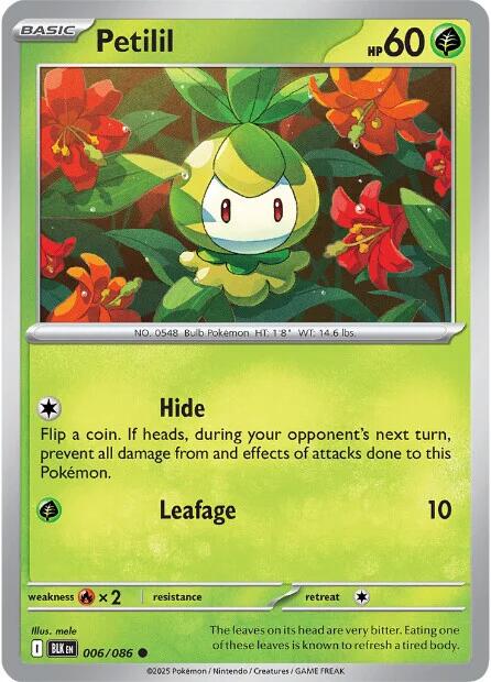 Petilil (006/086) [Scarlet & Violet: Black Bolt] - Pokémon - Card Brawlers | Quebec | Canada |