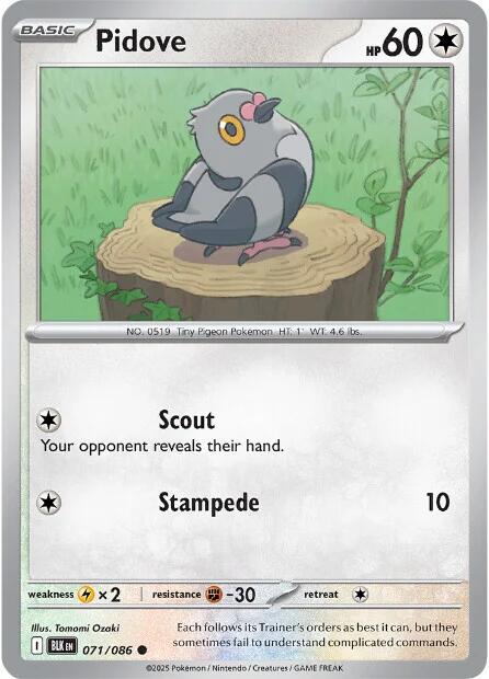 Pidove (071/086) [Scarlet & Violet: Black Bolt] - Pokémon - Card Brawlers | Quebec | Canada |