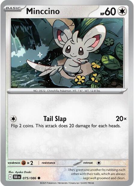 Minccino (075/086) [Scarlet & Violet: Black Bolt] - Pokémon - Card Brawlers | Quebec | Canada |