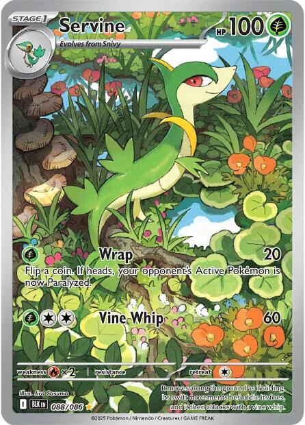 Servine (088/086) [Scarlet & Violet: Black Bolt] - Pokémon - Card Brawlers | Quebec | Canada |