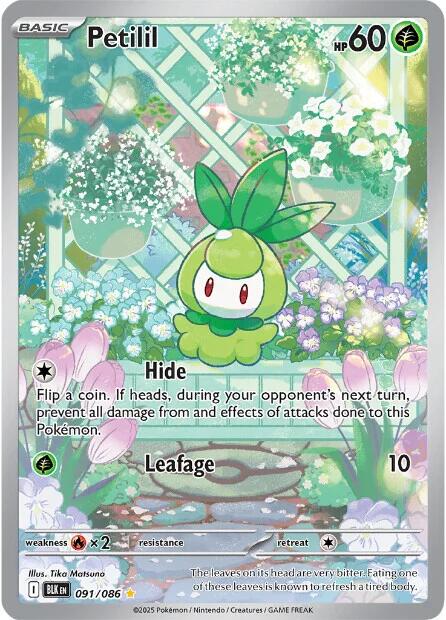 Petilil (091/086) [Scarlet & Violet: Black Bolt] - Pokémon - Card Brawlers | Quebec | Canada |