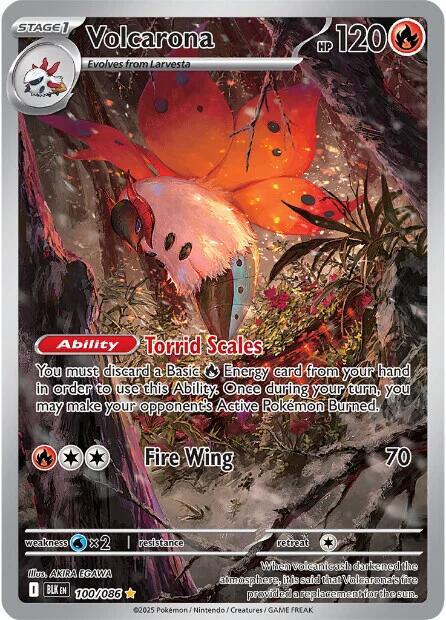Volcarona (100/086) [Scarlet & Violet: Black Bolt] - Pokémon - Card Brawlers | Quebec | Canada |