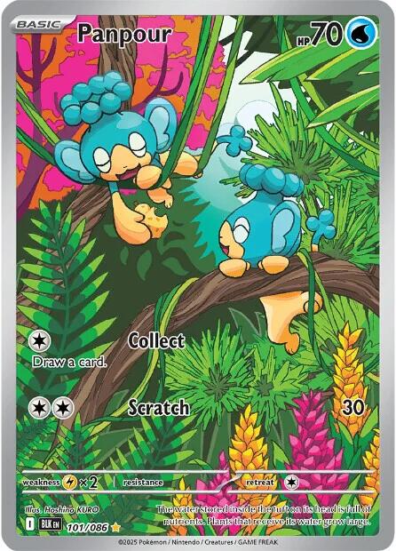 Panpour (101/086) [Scarlet & Violet: Black Bolt] - Pokémon - Card Brawlers | Quebec | Canada |