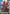 Guncannon (GD01-004) - Newtype Rising Holofoil