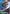 Delta Plus (GD01-006) - Newtype Rising Holofoil