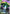 Big Zam (GD01-027) - Newtype Rising Holofoil