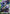 Gelgoog (GD01-031) - Newtype Rising