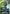 Shenlong Gundam (GD01-041) (GD01-041) - Newtype Rising