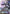 Freedom Gundam (GD01-065) - Newtype Rising Holofoil