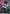 Extreme Hatred (GD01-112) - Newtype Rising Holofoil