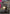 Zeon Remnant Forces (GD01-115) - Newtype Rising