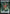 Egg Pawn - Myr Token [Secret Lair Drop Series] - Magic: The Gathering - Card Brawlers | Quebec | Canada |
