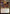 Ragost, Deft Gastronaut [Edge of Eternities Prerelease Promos] - Magic: The Gathering - Card Brawlers | Quebec | Canada |
