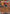 Hearthflame Mask Ogerpon ex (040/167) (Stamped) [Miscellaneous Cards] - Pokémon - Card Brawlers | Quebec | Canada |