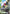 Wing Gundam (Bird Mode) (Store Tournament Participant Pack 01) (ST02-002) - Gundam Promotional Cards Holofoil