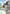 Wing Gundam (Bird Mode) (Store Tournament Winner Pack 01) (ST02-002) - Gundam Promotional Cards Holofoil