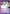 Revived Memories (UEX03BT/CGH-2-049) - UEX03BT CODE GEASS Lelouch of the Rebellion Vol2