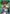 Suzaku Kururugi (UEX03BT/CGH-2-055) - UEX03BT CODE GEASS Lelouch of the Rebellion Vol2 Foil
