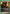 Reiner Braun (060) (UE10BT/AOT-1-060) - UE10BT Attack on Titan Foil