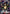 Hange Zoe (069) (R*) (UE10BT/AOT-1-069) - UE10BT Attack on Titan Foil