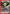 Armin Arlelt (077) (UE10BT/AOT-1-077) - UE10BT Attack on Titan Foil