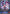Starlight Melody Tamer, Farah - P33EN (Foil) (CP03-P33EN) [Cardfight!! Vanguard] - Bushiroad - Card Brawlers | Quebec | Canada |