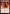 Captain Guard [Avatar: The Last Airbender: Eternal-Legal] - Magic: The Gathering - Card Brawlers | Quebec | Canada |