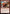 Dragon Moose [Avatar: The Last Airbender: Eternal-Legal] - Magic: The Gathering - Card Brawlers | Quebec | Canada |