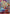Yamato (Premium Card Collection -Best Selection Vol. 4-) (EB01-007) - One Piece Promotion Cards Foil