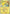 Pikachu (225) (World Championship 2025) [Winner] [Scarlet & Violet: Black Star Promos] - Pokémon - Card Brawlers | Quebec | Canada |