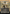 Leyline Binding (Textured Foil) [Outlaws of Thunder Junction: Breaking News] - Magic: The Gathering - Card Brawlers | Quebec | Canada |