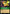 Signed Contract (101/204) [Fabled] - Disney - Card Brawlers | Quebec | Canada |