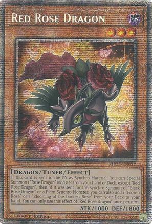 Red Rose Dragon [MP25-EN037] Starlight Rare - Yu-Gi-Oh! - Card Brawlers | Quebec | Canada |