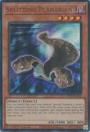Splitting Planarian [MP25-EN263] Ultra Rare - Yu-Gi-Oh! - Card Brawlers | Quebec | Canada |