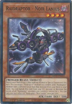 Raidraptor - Noir Lanius [MP25-EN302] Common - Yu-Gi-Oh! - Card Brawlers | Quebec | Canada |