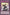 Guardian of the Voiceless Voice [MP25-EN396] Common - Yu-Gi-Oh! - Card Brawlers | Quebec | Canada |