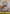 O-Nami (Welcome Pack Vol. 2) (OP06-101) - One Piece Promotion Cards
