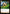 Stalwart Poro (052/298) - Origins - Origins - Card Brawlers | Quebec | Canada |