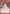 Kenshin Himura (085) (UE11ST/RNK-1-085) - UE11ST Rurouni Kenshin Starter Deck