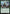 Lizard, Connors's Curse [Marvel's Spider-Man Prerelease Promos] - Magic: The Gathering - Card Brawlers | Quebec | Canada |