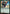 Miles Morales // Ultimate Spider-Man [Marvel's Spider-Man Prerelease Promos] - Magic: The Gathering - Card Brawlers | Quebec | Canada |