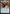 Iron Spider, Stark Upgrade [Marvel's Spider-Man Prerelease Promos] - Magic: The Gathering - Card Brawlers | Quebec | Canada |