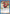 Kenshin Himura (009) (UE11BT/RNK-1-009) - UE11BT Rurouni Kenshin Foil