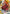 Kenshin Himura (010) (R*) (UE11BT/RNK-1-010) - UE11BT Rurouni Kenshin Foil
